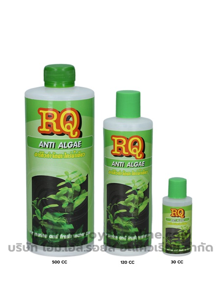 rq-anti-algae